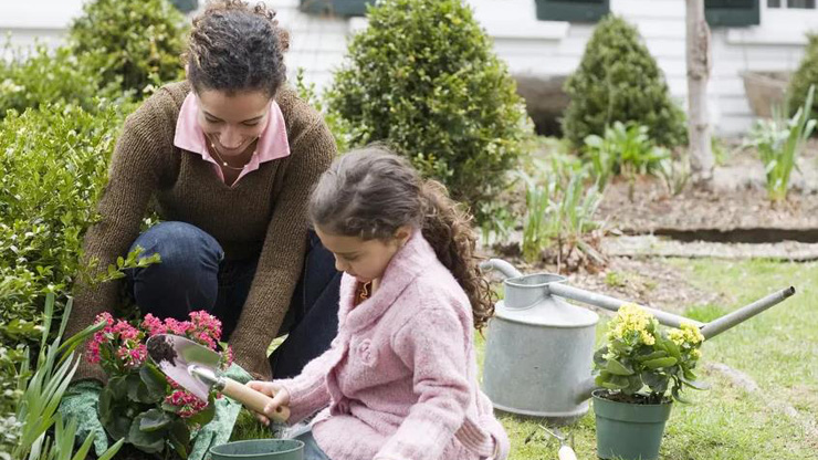 9 Things to Know About Starting a Garden From Scratch